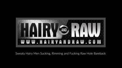 HAIRYANDRAW Black Gay Ray Diesel Barebacks Matt Stevens - icpvid.com