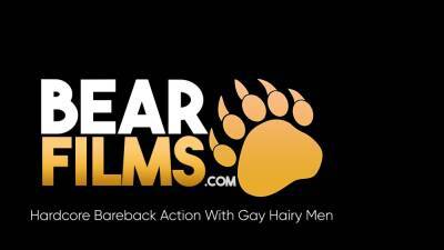BEARFILMS Huge Gay Tyler Reed Barebacks Hairy Teddy Torres - icpvid.com